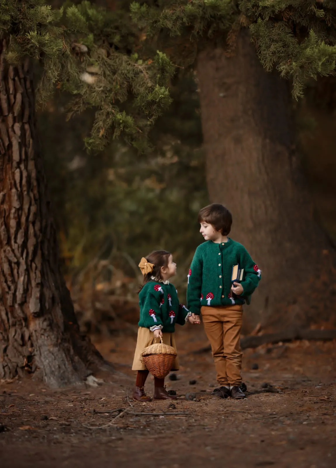 Mushrooms pullover | Emerald