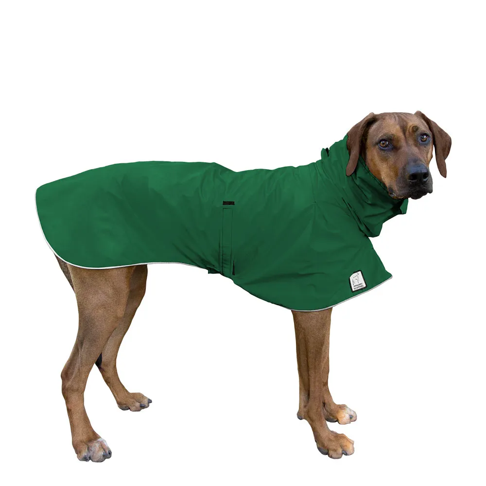 ReCoat ♻️ Rhodesian Ridgeback Raincoat