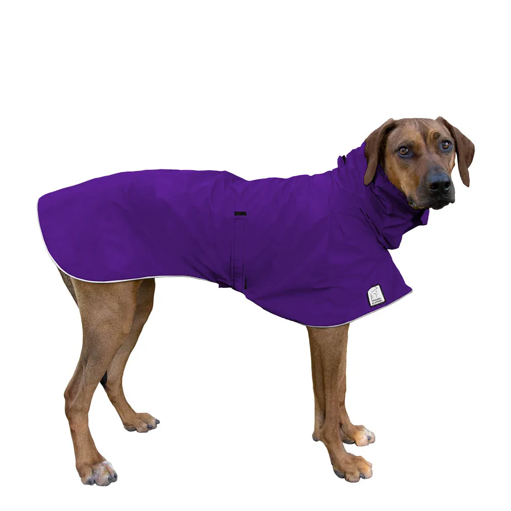 ReCoat ♻️ Rhodesian Ridgeback Raincoat